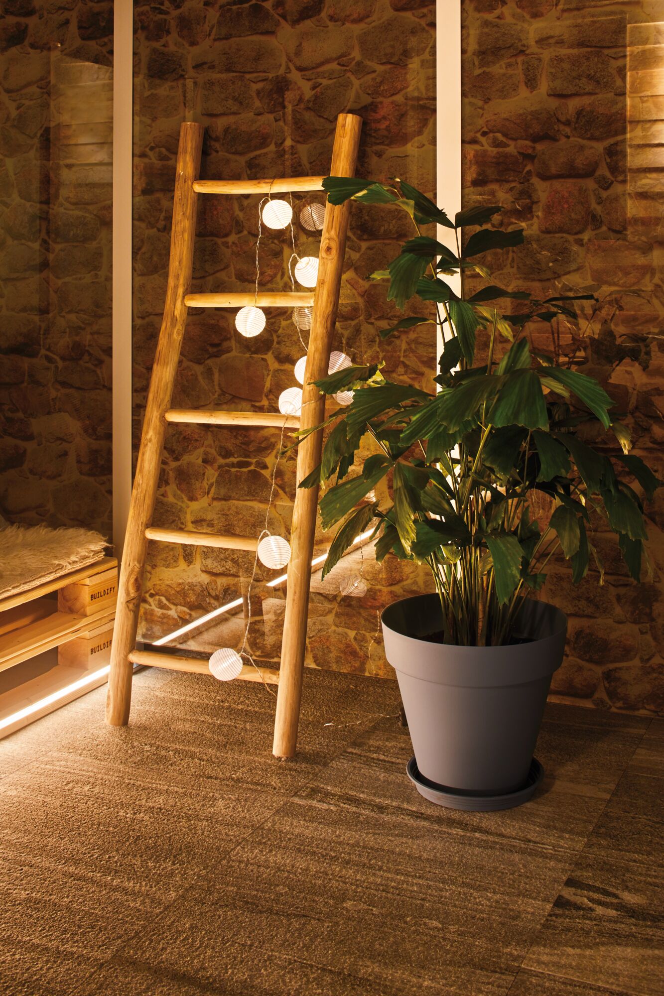 Échelle en bois avec guirlande LED blanc chaud devant mur en pierre à côté d’une plante verte en pot gris