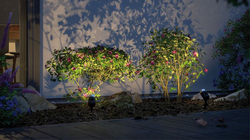 Pflanzenleuchten setzen Büsche in Szene. Pflanzenleuchten von Paulmann