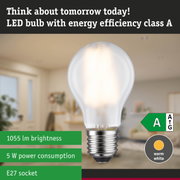 Energy-saving LED lamp with warm white light and high efficiency against green forest background