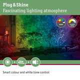 Outdoor lighting with RGBW and tunable white creates colorful garden atmosphere with smart color control.