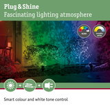 Outdoor lighting with RGBW and tunable white creates colorful garden atmosphere with smart color control.