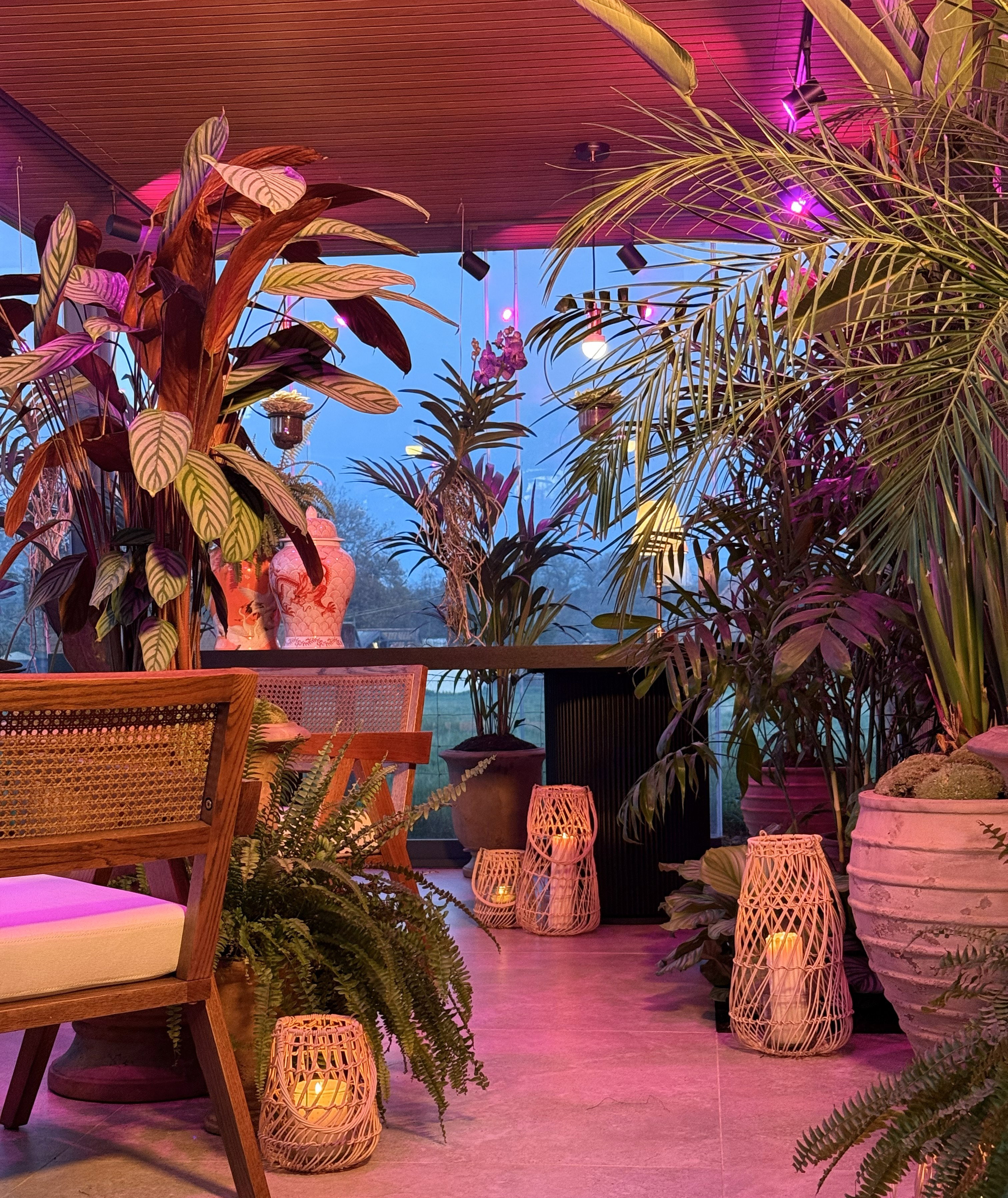 Cozy conservatory with wooden chair, lush green plants and decorative candles in woven baskets at dusk
