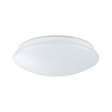 Round white LED ceiling light with opal plastic shade for modern room lighting