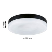 Runde Deckenleuchte mit schwarzem Rand und weißem Diffusor, 280 mm Durchmesser, LED Beleuchtung