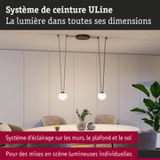 Suspension moderne avec deux globes blancs sur câbles noirs dans salle à manger lumineuse avec plantes