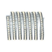 Flexible LED strip with warm white LEDs on transparent base for versatile lighting solutions.