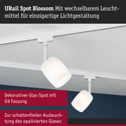Weißer URail Spot Blossom Glas-Spot mit G9 Fassung für schattenfreie Beleuchtung