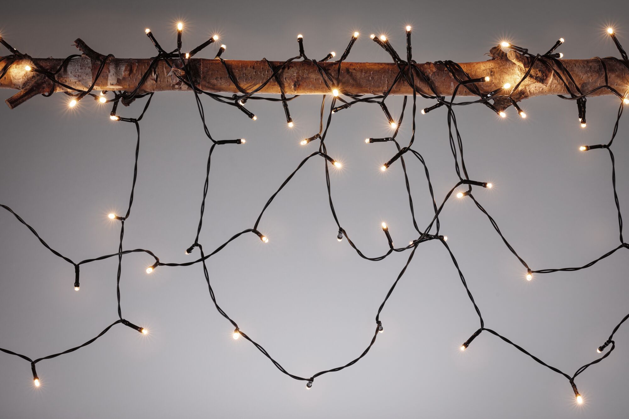 String lights with warm white LED bulbs on black wire wrapped around wooden branch, decoration.