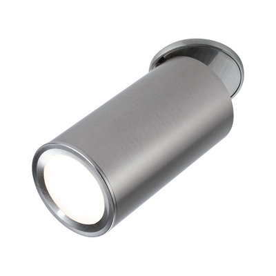 Moderne plafondspot van geborsteld roestvrij staal zilver voor gerichte verlichting