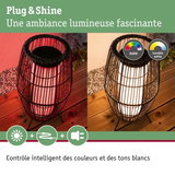 Lampe sur pied noire extérieure avec lumière RGBW et blanc réglable pour ambiance lumineuse
