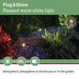 Outdoor spotlights with warm white light on stones and plants for atmospheric garden lighting