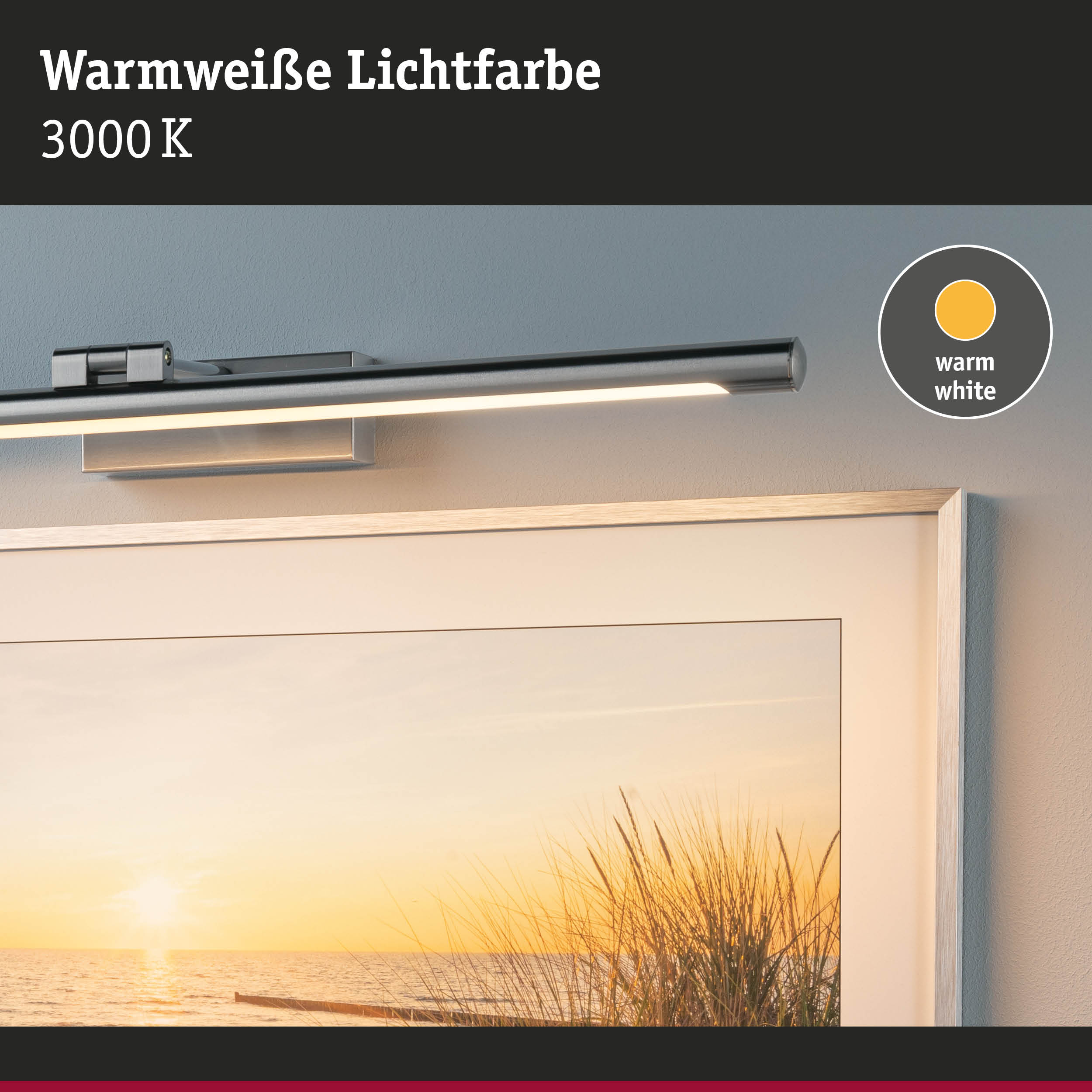 Moderne LED-Bildleuchte aus Metall in Silber mit warmweißer Lichtfarbe 3000K für Wohnräume