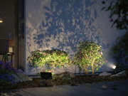 Außenstrahler mit warmweißem LED-Licht beleuchten grüne Sträucher mit rosa Blüten im Garten bei Nacht.