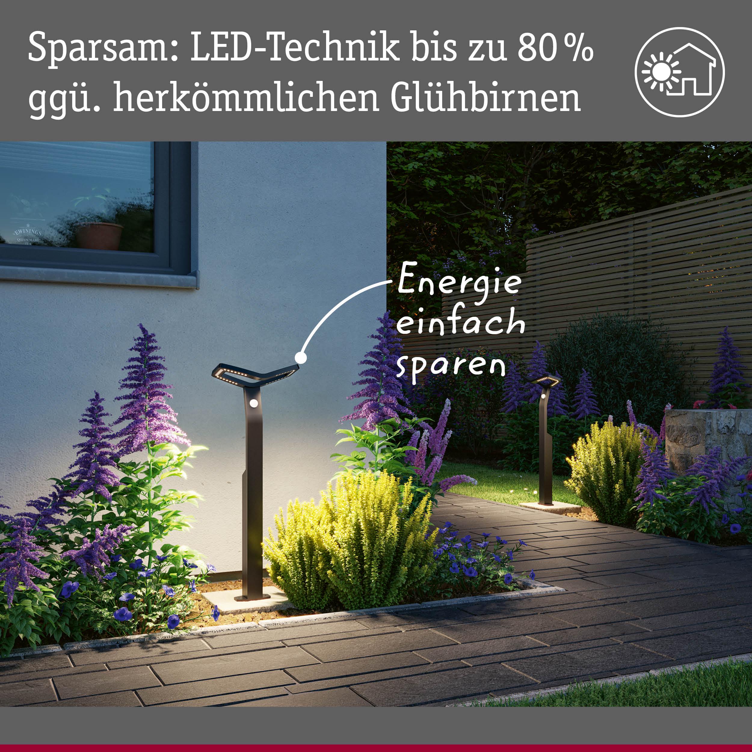Moderne schwarze LED-Gartenleuchten beleuchten Weg mit lila und grünen Pflanzen, energiesparende Außenbeleuchtung