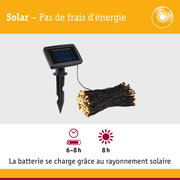Panneau solaire noir avec guirlande LED pour éclairage extérieur économique en énergie au jardin.