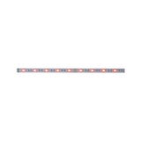 Bande LED avec LEDs rouges sur circuit argenté pour solutions d'éclairage flexibles