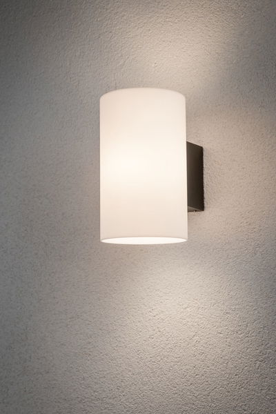 Modern wall light with white glass and black metal mount for indoor lighting