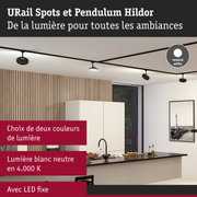 Spots noirs URail modernes avec lumière LED blanc neutre dans une cuisine minimaliste avec panneaux en bois