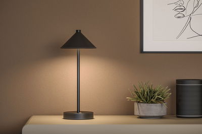 Lampe de table noire en métal avec abat-jour conique sur buffet à côté d'une plante et d'une enceinte