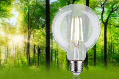Klar glas LED-pære med synlige filamenter foran grøn skovbaggrund til energibesparende belysning