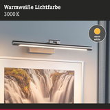 LED-Bilderleuchte aus gebürstetem Metall in Silber mit warmweißem Licht 3000K für Wanddekoration