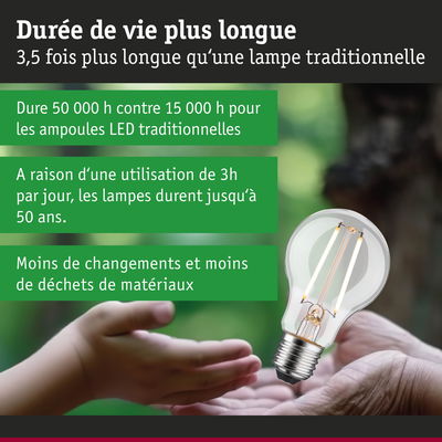Ampoule LED à longue durée de vie tenue dans des mains, lampe LED durable 50 000 heures.