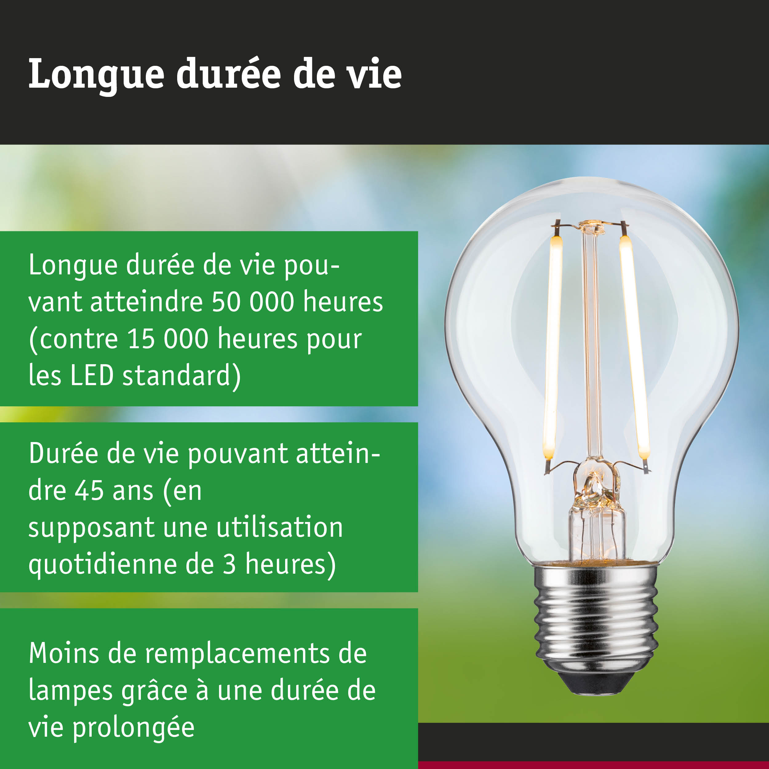 Ampoule LED à longue durée de vie tenue en main, éclairage durable et économique