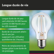 Ampoule LED à longue durée de vie tenue en main, éclairage durable et économique