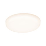 Round white LED ceiling light with opal diffuser for energy-efficient room lighting