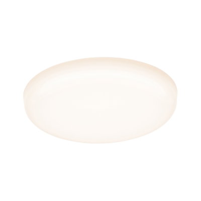 Round white LED ceiling light with opal diffuser for energy-efficient room lighting