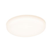 Round white LED ceiling light with opal diffuser for energy-efficient room lighting
