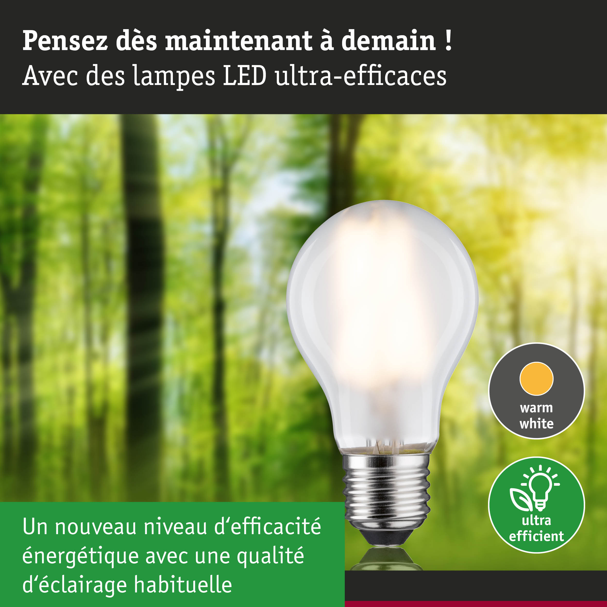 Ampoule LED lumière blanc chaud ultra efficace énergétiquement sur fond de forêt verte