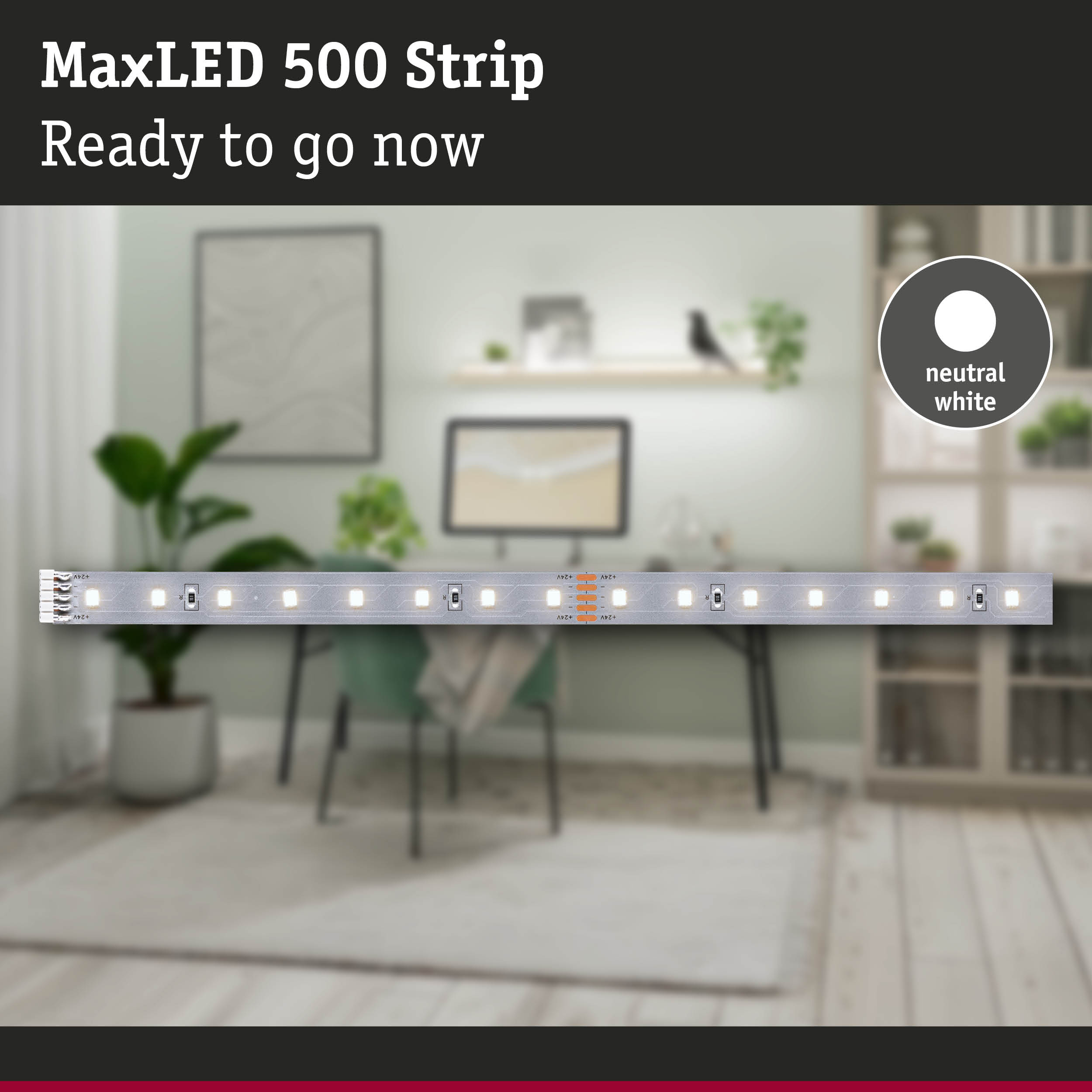 MaxLED 500 Strip LED light strip in neutral white for modern home lighting and flexible illumination