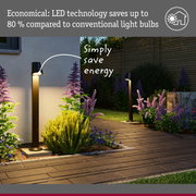 Modern black LED outdoor lights illuminate garden path with energy-saving LED technology