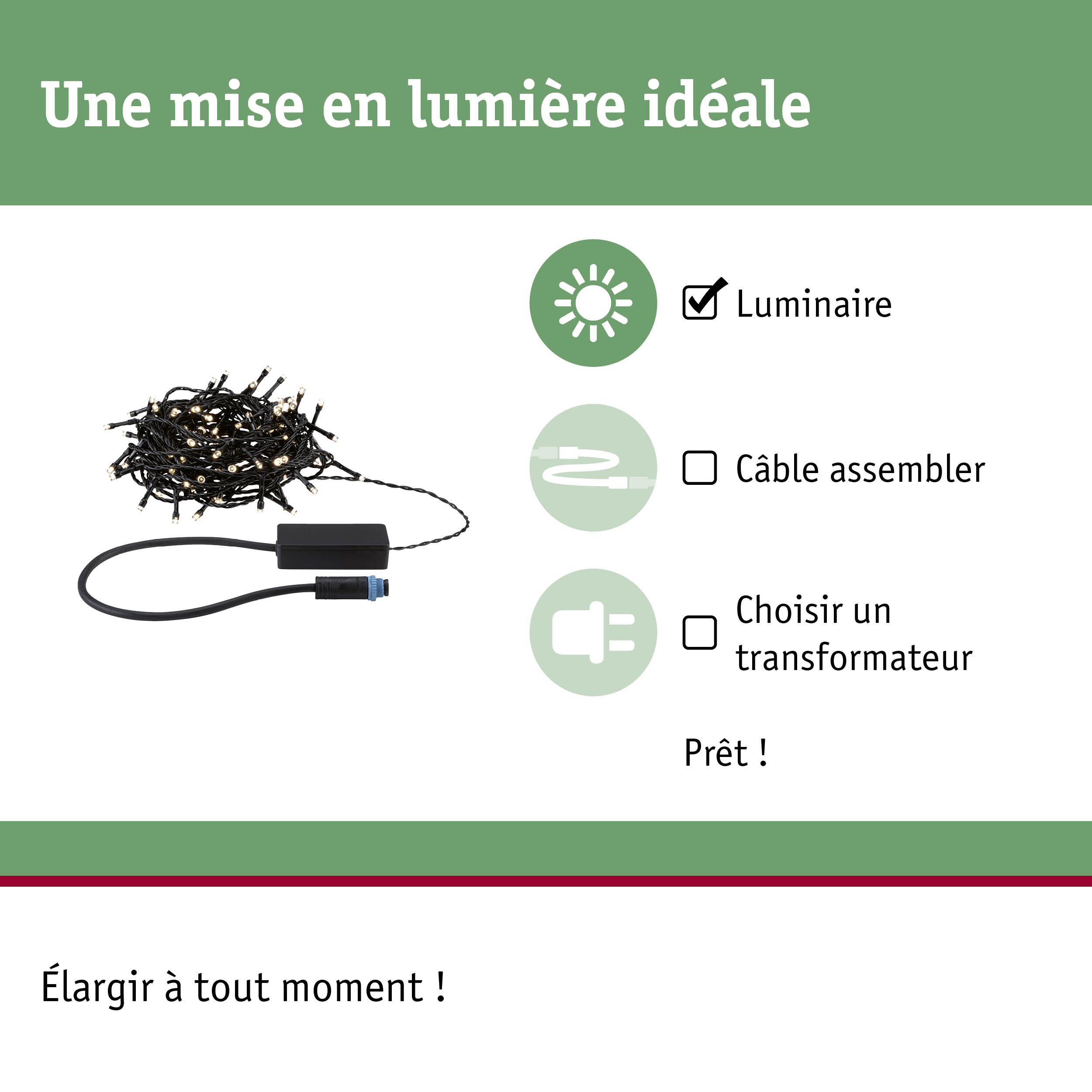 Guirlande LED noire avec prise et contrôleur pour éclairage intérieur flexible