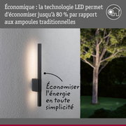 Applique murale extérieure LED noire sur mur blanc avec éclairage économique et arbre en arrière-plan