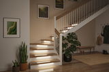 Modern wooden staircase with integrated LED step lighting and green indoor plants in hallway