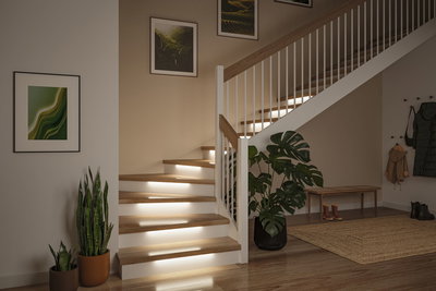 Escalier en bois moderne avec éclairage LED intégré sous les marches et plantes vertes dans le hall