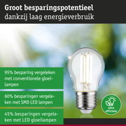 Energiezuinige LED-lamp met helder glas en zilveren fitting voor milieuvriendelijke verlichting