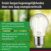 Energiezuinige LED-lamp met helder glas en zilveren fitting voor milieuvriendelijke verlichting