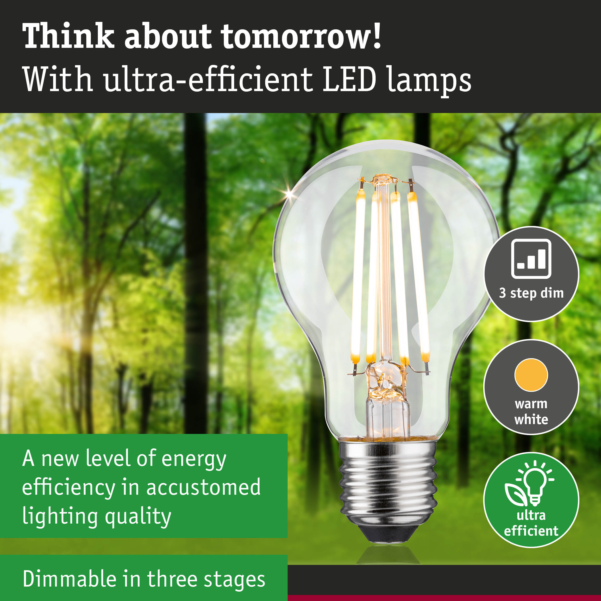 Clear LED bulb with warm white light and 3-step dimming for energy-efficient lighting solutions