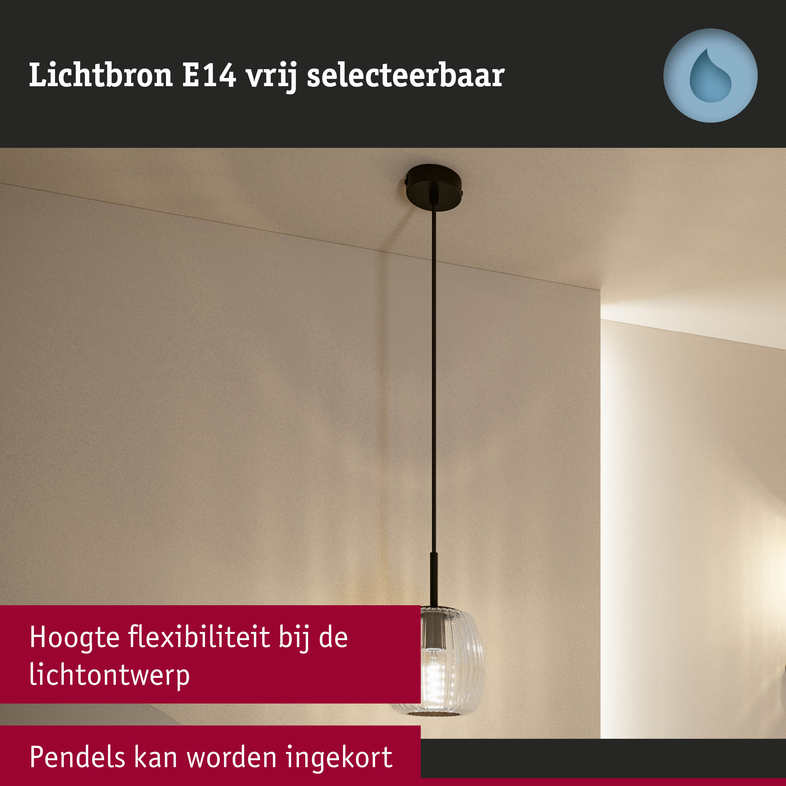 Hanglamp met heldere glazen kap en zwarte kabel, in hoogte verstelbaar voor flexibele verlichting