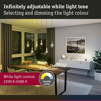 Dining room with adjustable white LED lighting from 2200K to 5500K for customizable ambient light