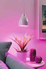 Witte metalen hanglamp met roze LED-licht boven potplant en decoratie in woonkamer