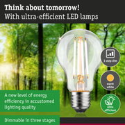 Clear LED bulb with warm white light and 3-step dimming for energy-efficient lighting solutions