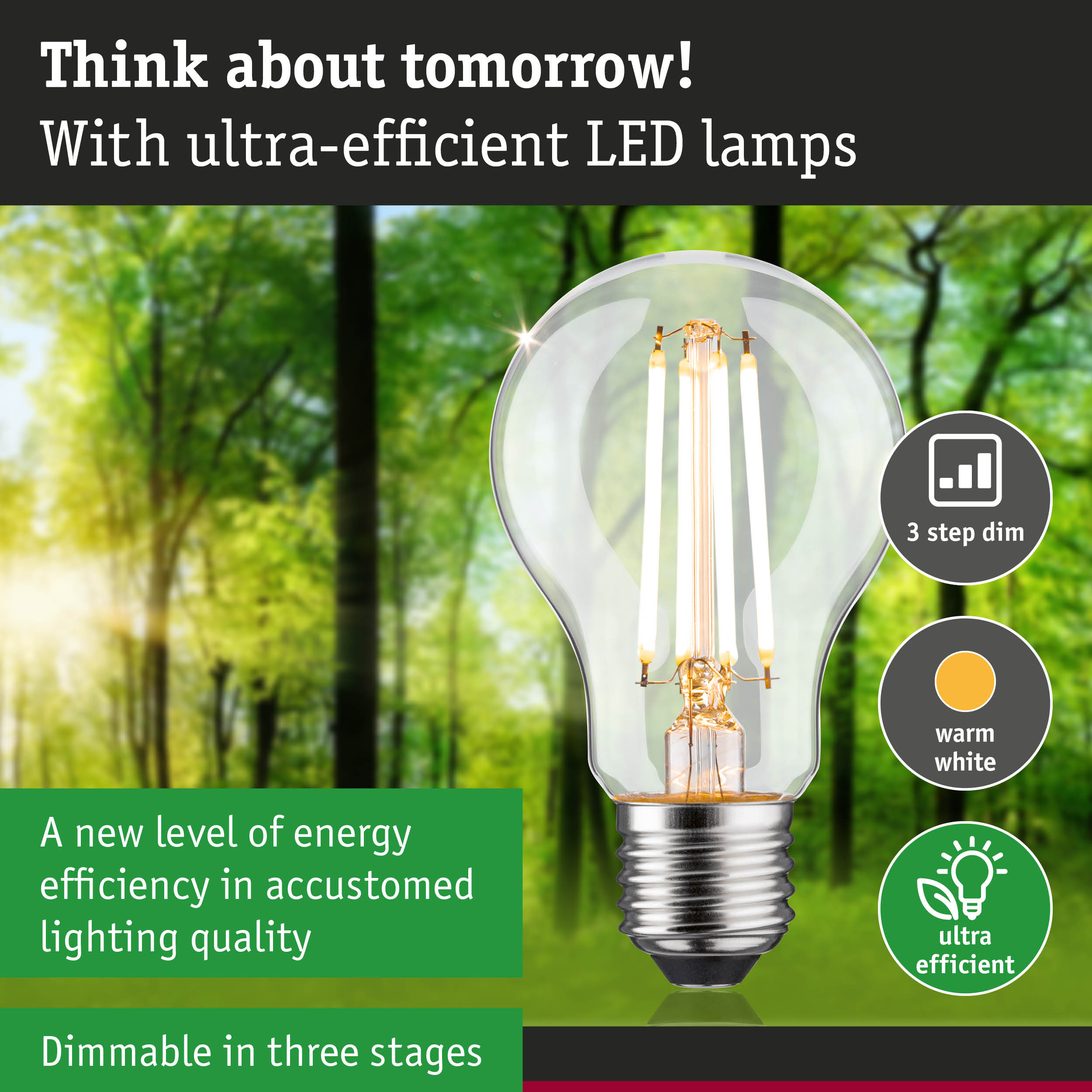 Clear LED bulb with warm white light and 3-step dimming for energy-efficient lighting solutions