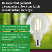 Ampoule LED à verre transparent avec filaments visibles pour un éclairage ultra efficace