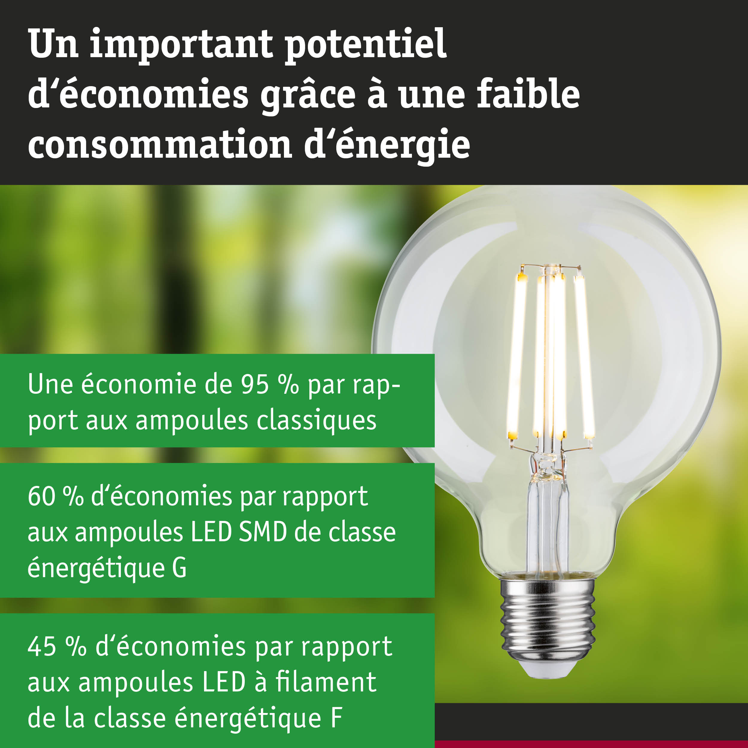 Ampoule LED à verre transparent avec filaments visibles pour un éclairage ultra efficace