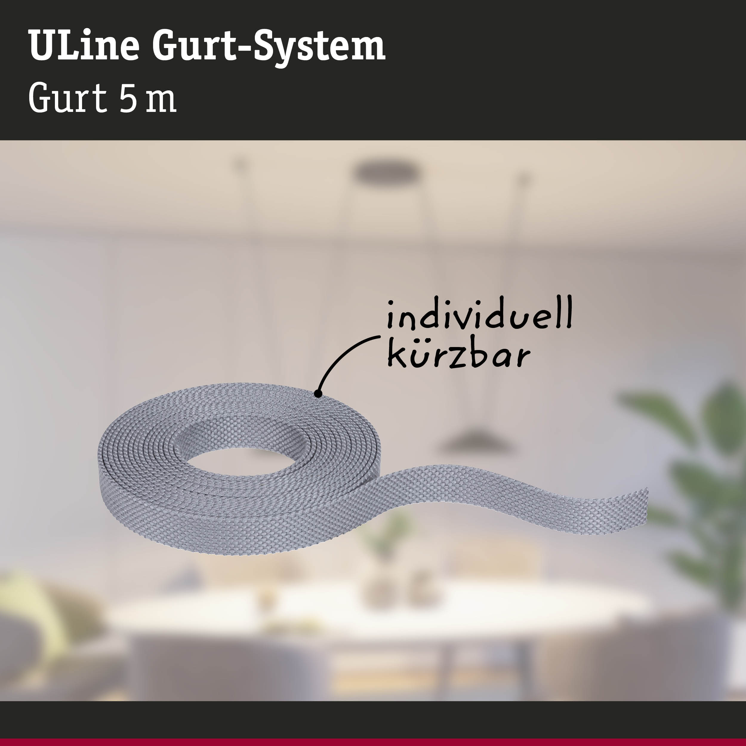 Grauer 5 Meter langer Gurt aus robustem Material für das ULine Gurt-System, individuell kürzbar