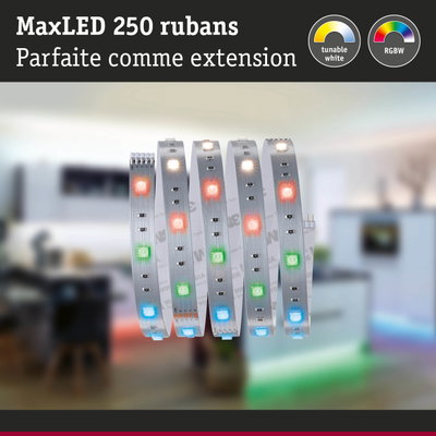 Bandes LED MaxLED 250 avec couleurs RGBW et blanc réglable pour éclairage polyvalent